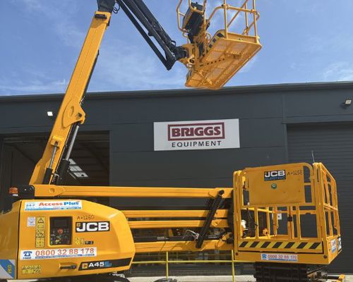 Briggs Access Plus Summary