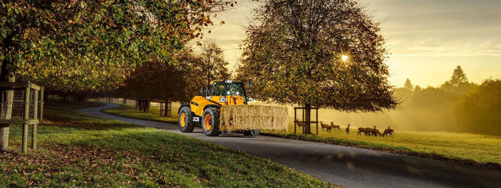 JCB Telehandlers